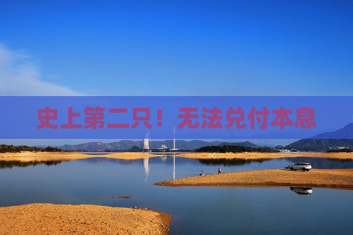 史上第二只！无法兑付本息