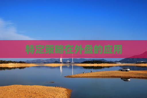 特定策略在外盘的应用  第1张