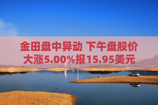 金田盘中异动 下午盘股价大涨5.00%报15.95美元