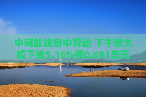 中网载线盘中异动 下午盘大幅下挫5.16%报0.691美元