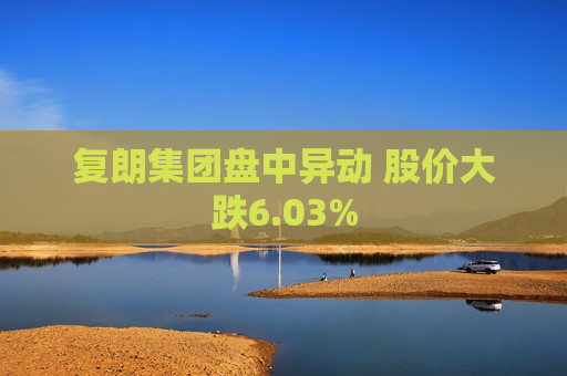 复朗集团盘中异动 股价大跌6.03%  第1张
