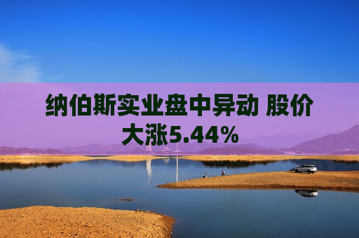 纳伯斯实业盘中异动 股价大涨5.44%  第1张