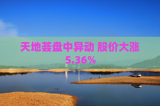 天地荟盘中异动 股价大涨5.36%  第1张