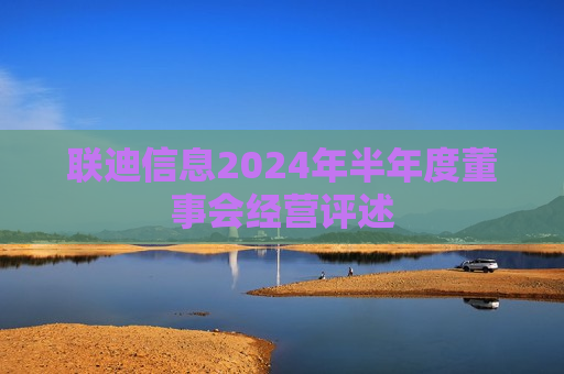 联迪信息2024年半年度董事会经营评述