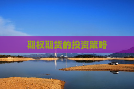 期权期货的投资策略