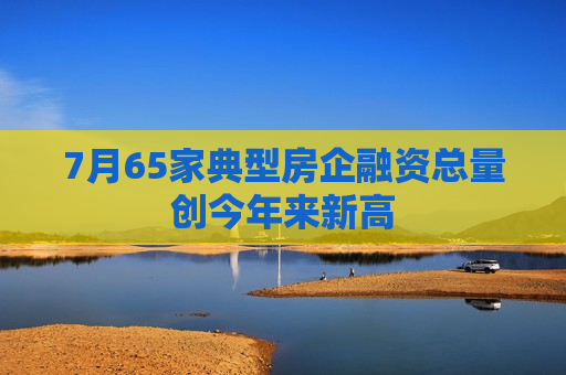 7月65家典型房企融资总量创今年来新高  第1张