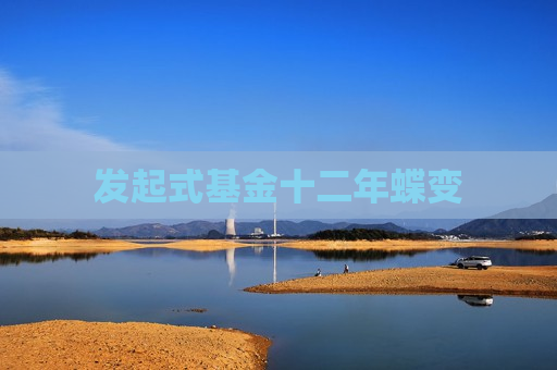 发起式基金十二年蝶变