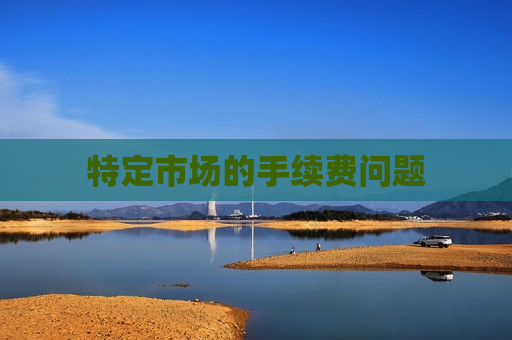 特定市场的手续费问题