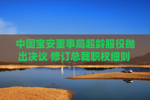 中国宝安董事局超龄服役抛出决议 修订总裁职权细则 换届似有眉目