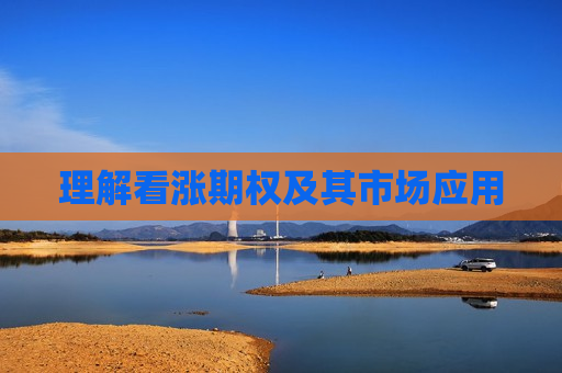 理解看涨期权及其市场应用