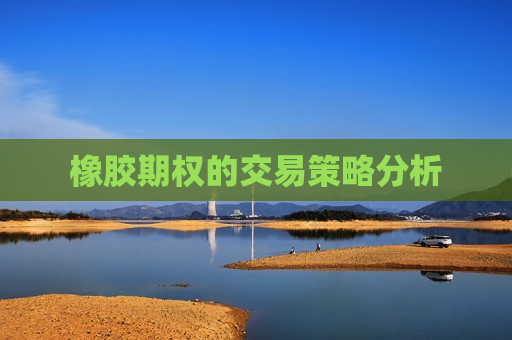 橡胶期权的交易策略分析