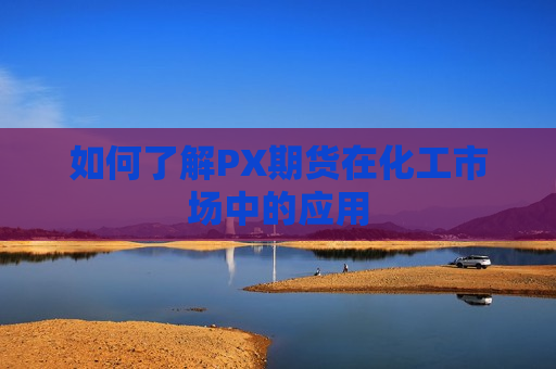 如何了解PX期货在化工市场中的应用
