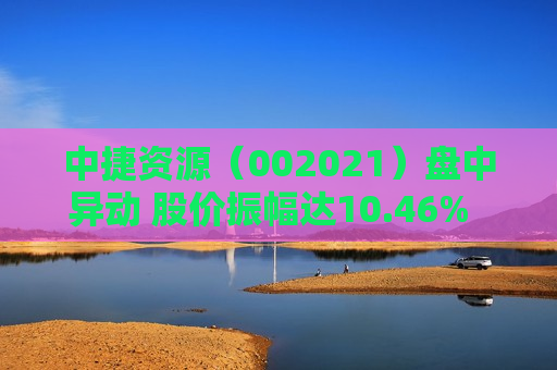 中捷资源（002021）盘中异动 股价振幅达10.46%  上涨7.19%（08-20）