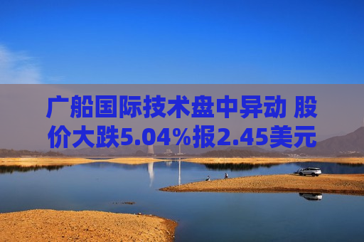 广船国际技术盘中异动 股价大跌5.04%报2.45美元