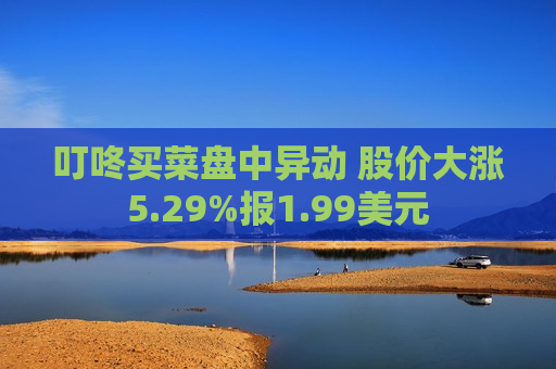 叮咚买菜盘中异动 股价大涨5.29%报1.99美元