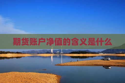 期货账户净值的含义是什么  第1张