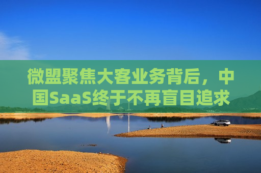 微盟聚焦大客业务背后，中国SaaS终于不再盲目追求规模了