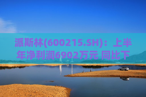 派斯林(600215.SH)：上半年净利润6902万元 同比下降16.62%