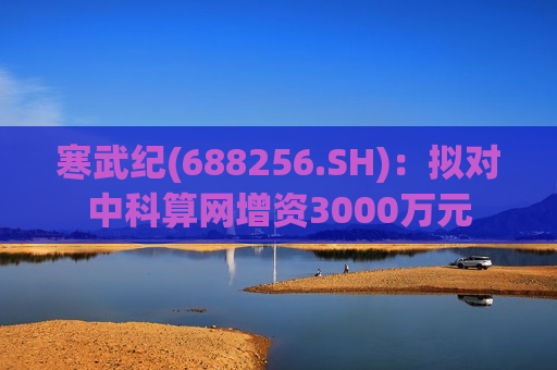 寒武纪(688256.SH)：拟对中科算网增资3000万元