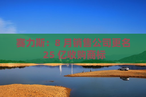 赛力斯：8 月销售公司更名 25 亿收购商标  第1张