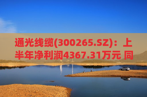 通光线缆(300265.SZ)：上半年净利润4367.31万元 同比下降34.91%  第1张