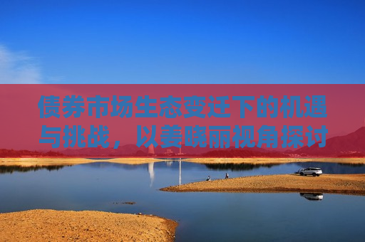 债券市场生态变迁下的机遇与挑战，以姜晓丽视角探讨，姜晓丽视角下的债券市场生态变迁，机遇与挑战并存，姜晓丽视角下的债券市场生态变迁，机遇与挑战并存  第1张