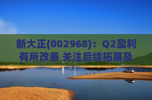 新大正(002968)：Q2盈利有所改善 关注后续拓展及利润率趋势