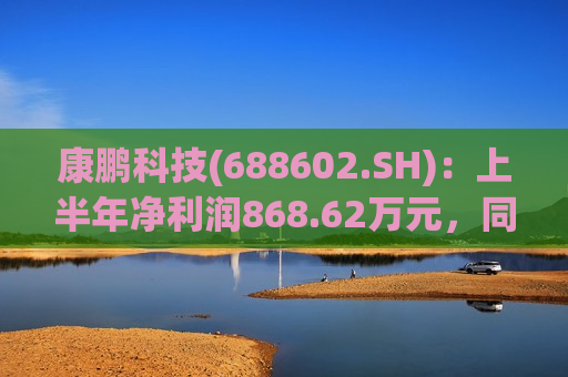 康鹏科技(688602.SH)：上半年净利润868.62万元，同比下降88.12%