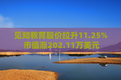 见知教育股价拉升11.25% 市值涨202.11万美元