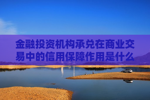 金融投资机构承兑在商业交易中的信用保障作用是什么？金融投资机构承兑有哪些操作流程？