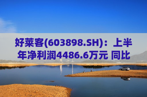 好莱客(603898.SH)：上半年净利润4486.6万元 同比下降46.9%  第1张