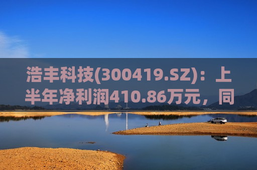 浩丰科技(300419.SZ)：上半年净利润410.86万元，同比下降54.62%  第1张