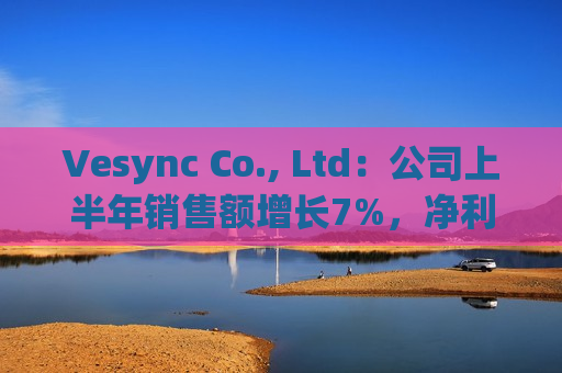 Vesync Co., Ltd：公司上半年销售额增长7%，净利润增长近40%  第1张