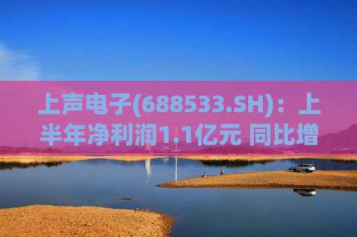 上声电子(688533.SH)：上半年净利润1.1亿元 同比增加56.63%