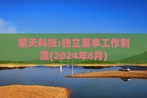 紫天科技:独立董事工作制度(2024年8月)