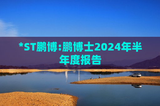 *ST鹏博:鹏博士2024年半年度报告