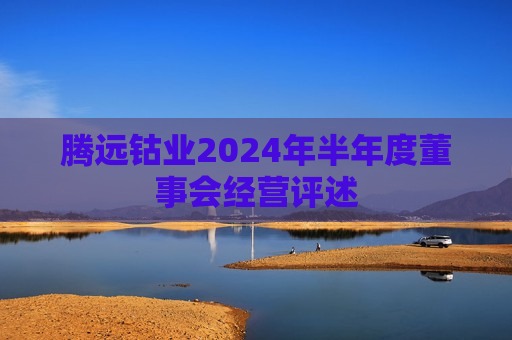 腾远钴业2024年半年度董事会经营评述