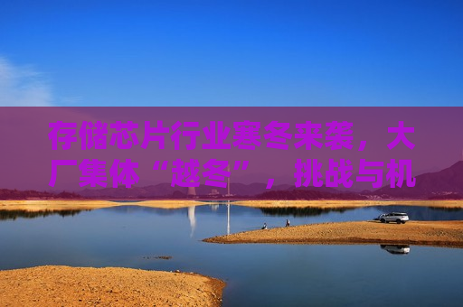 存储芯片行业寒冬来袭，大厂集体“越冬”，挑战与机遇并存，存储芯片行业寒冬挑战与机遇并存，存储芯片行业寒冬，挑战与机遇并存