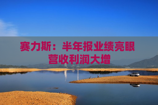赛力斯：半年报业绩亮眼 营收利润大增