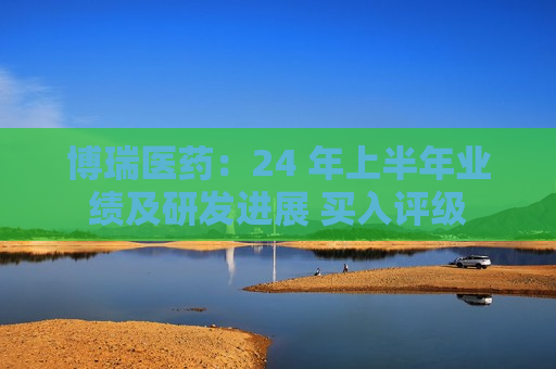 博瑞医药：24 年上半年业绩及研发进展 买入评级