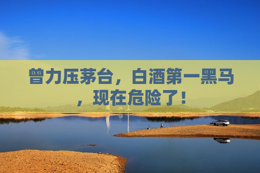 曾力压茅台，白酒之一黑马，现在危险了！