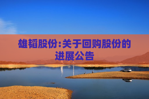 雄韬股份:关于回购股份的进展公告  第1张