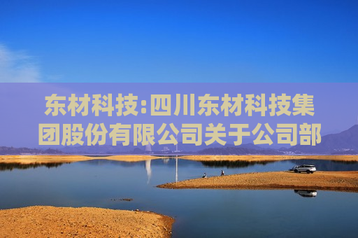 东材科技:四川东材科技集团股份有限公司关于公司部分董事、监事、高级管理人员增持公司股份的进展公告