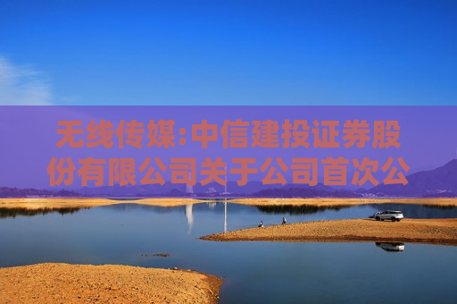 无线传媒:中信建投证券股份有限公司关于公司首次公开发行股票并在创业板上市的发行保荐书