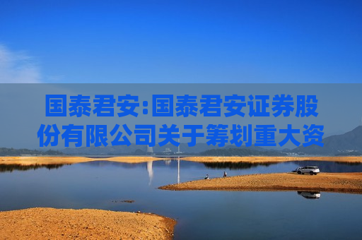 国泰君安:国泰君安证券股份有限公司关于筹划重大资产重组的停牌公告