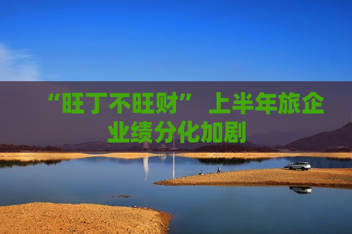 “旺丁不旺财” 上半年旅企业绩分化加剧