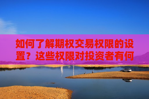 如何了解期权交易权限的设置？这些权限对投资者有何限制和机会？