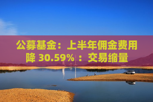 公募基金：上半年佣金费用降 30.59% ：交易缩量