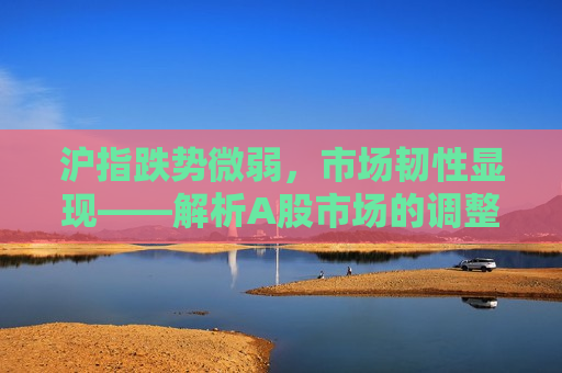 沪指跌势微弱，市场韧性显现——解析A股市场的调整与应对策略，A股市场调整解析，韧性显现，应对策略探讨，A股市场调整中的韧性，应对策略探讨