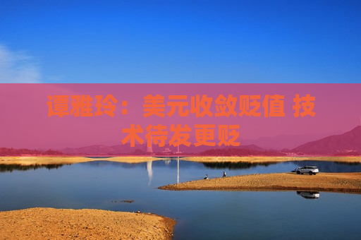 谭雅玲：美元收敛贬值 技术待发更贬